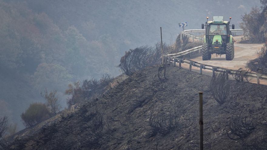 Los incendios causan pérdidas de cientos de millones y aumentan el malestar del campo: "Ha desaparecido mucho ganado"