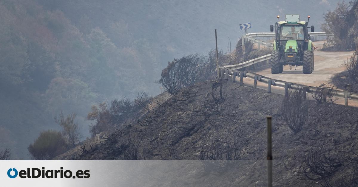 Los incendios causan pérdidas de cientos de millones y aumentan el malestar del campo:  Ha desaparecido mucho ganado 