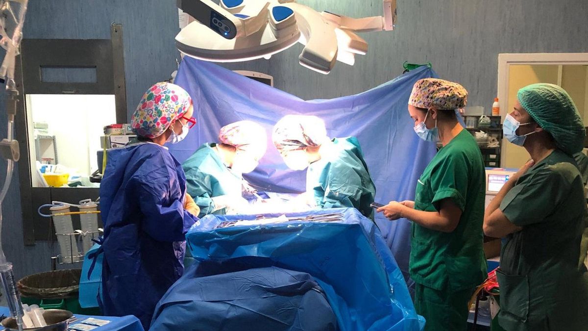 La donación de tejidos aumenta un 28% en Canarias