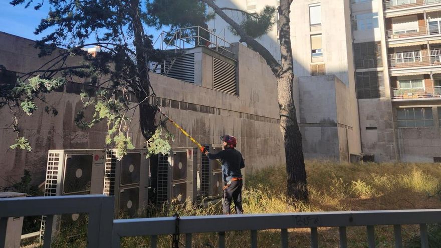 El Gobierno de Almeida reconoce 15 talas ilegales en Chamberí por las obras de un parking que los vecinos creen "inútil"