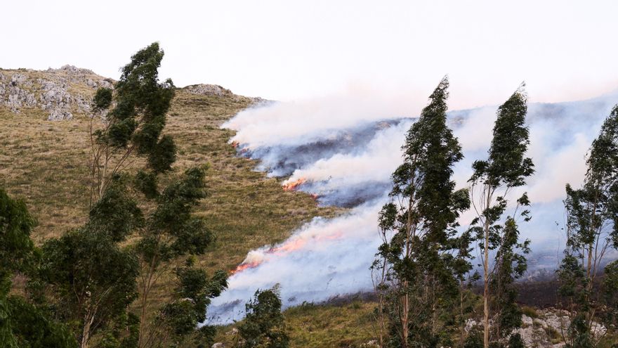 Incendio forestal en Cantabria.