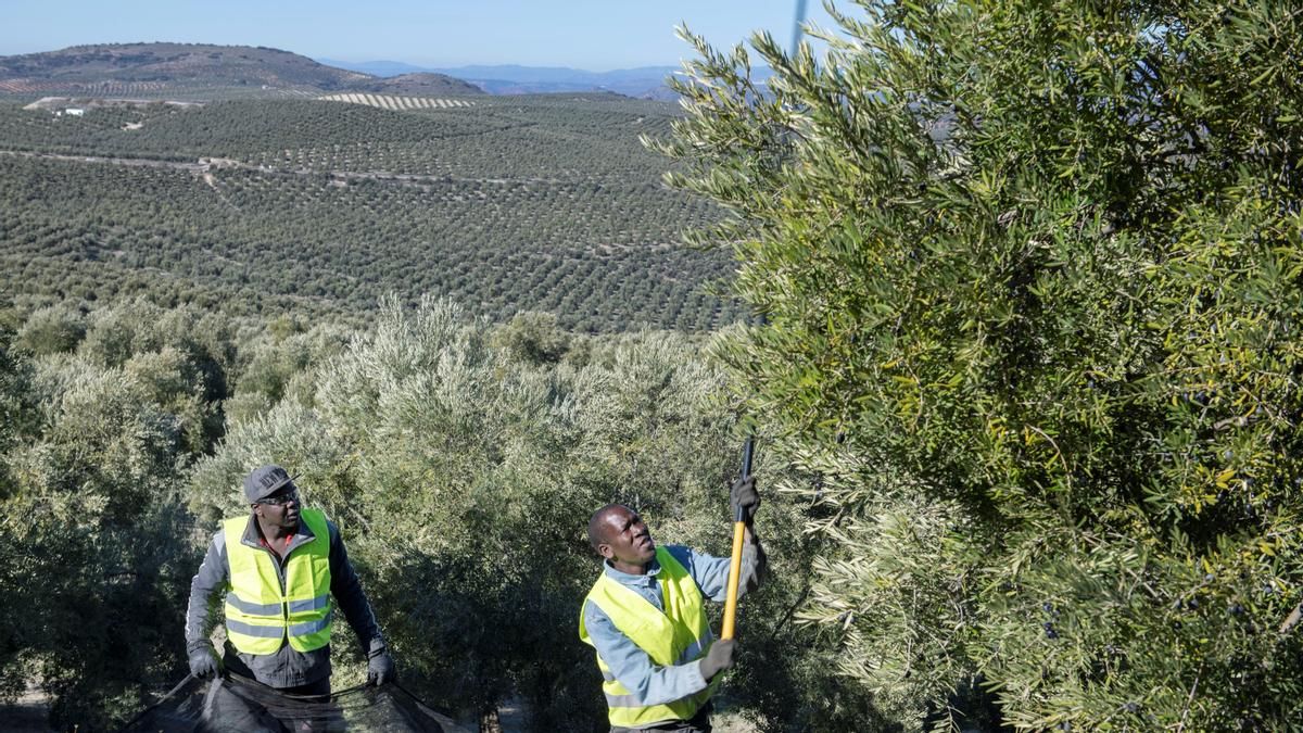 Castilla y León necesita inmigración