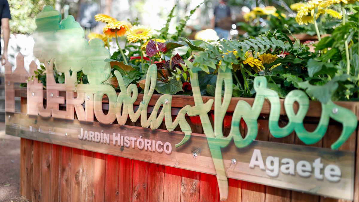 Poesía, música y naturaleza se dan la mano en la reapertura del Huerto de las Flores de Agaete