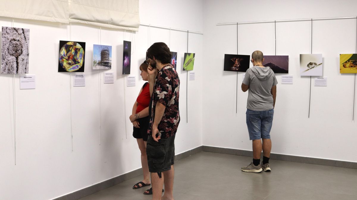 El V Concurso ‘Ciencia en una foto’ premia tres miradas que conectan naturaleza y patrimonio