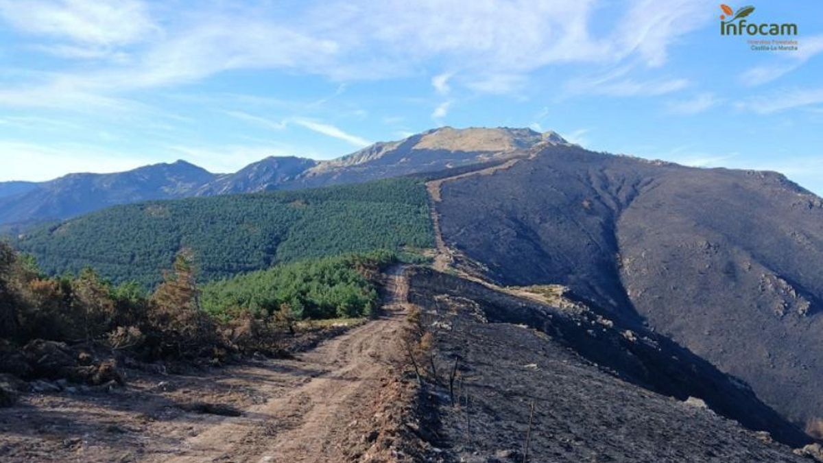 Castilla-La Mancha destinará 1 millón de euros en ayudas a afectados por el incendio forestal de Peñalba de la Sierra