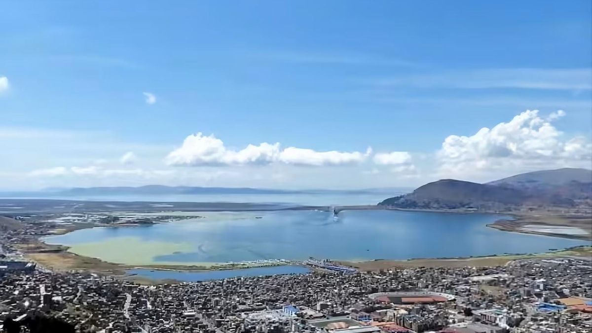 Las comunidades indígenas son responsables del cuidado y aprovechamiento de animales, agricultura, la extracción de sal y la medicina tradicional en estos territorios.
