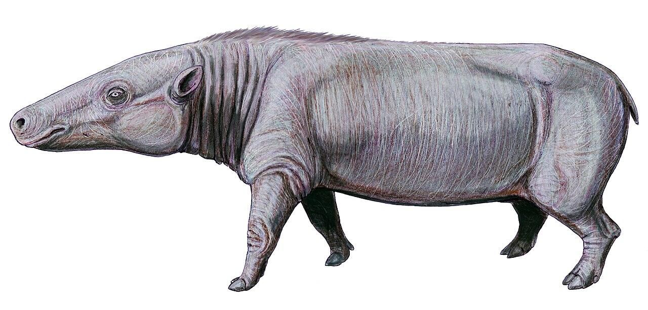 Recreación del Anthracotheriidae, un antepasado de los hipopótamos