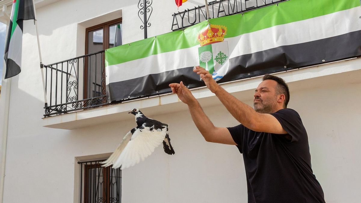 Palomas mensajeras para poder hablar con el alcalde: la protesta de Carbajo tras un mes sin teléfono en el Ayuntamiento
