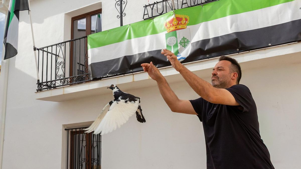 Palomas mensajeras para poder hablar con el alcalde: la protesta de Carbajo tras un mes sin teléfono en el Ayuntamiento