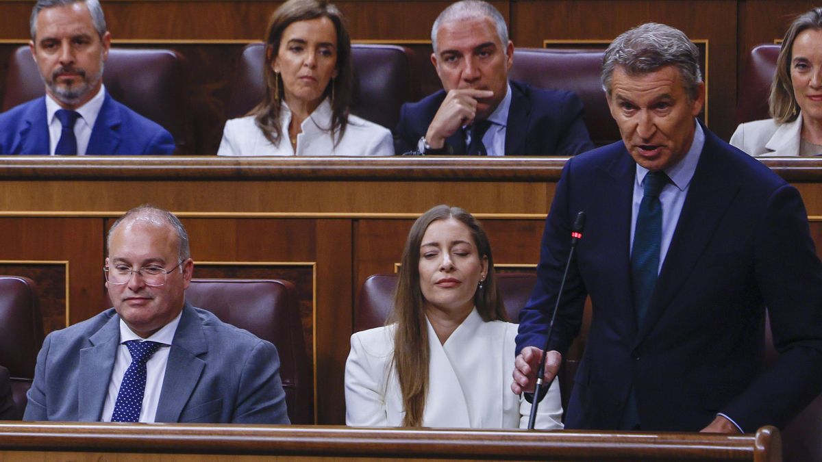 El PP lleva al Senado la votación para pedir elecciones vetada por el Congreso