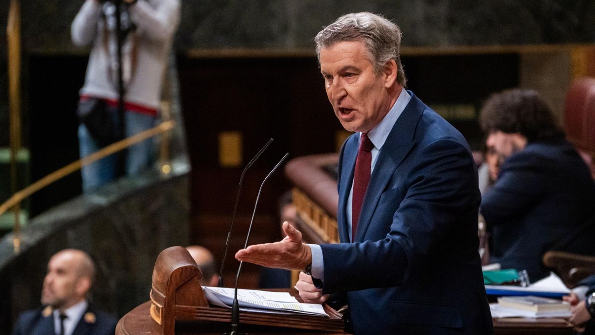 El presidente del Partido Popular, Alberto Núñez Feijóo, interviene en el Congreso