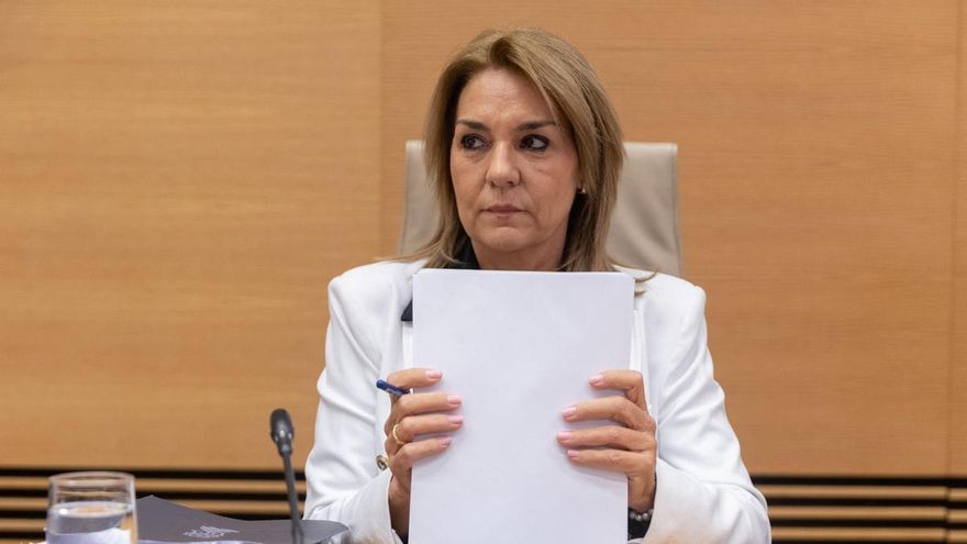 Susana Camarero, en la Comisión de Investigación de la dana en el Congreso.