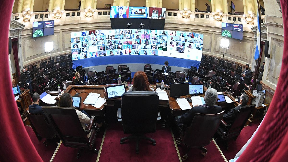 El Senado sesionando en pandemia.