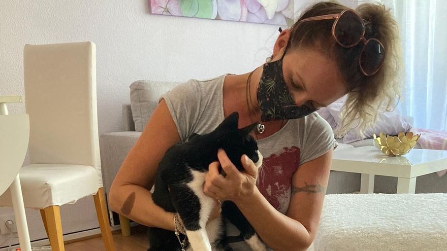 El gato rescatado este lunes por los GIORS en el sur de Gran Canaria.