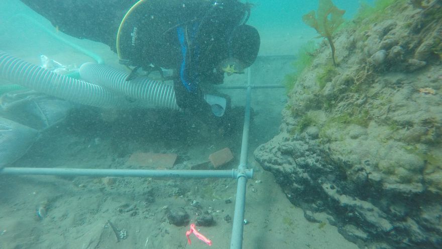 Día del Patrimonio Natural y Cultural: ¿por qué es celebrado cada 8 de octubre en Argentina?