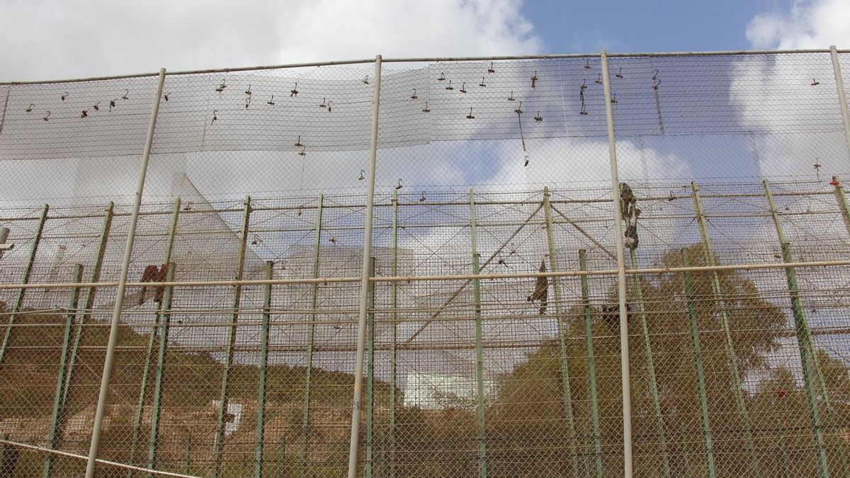 Vox se querella contra los 50 inmigrantes que saltaron la valla de Melilla e hirieron a seis agentes de la Guardia Civil