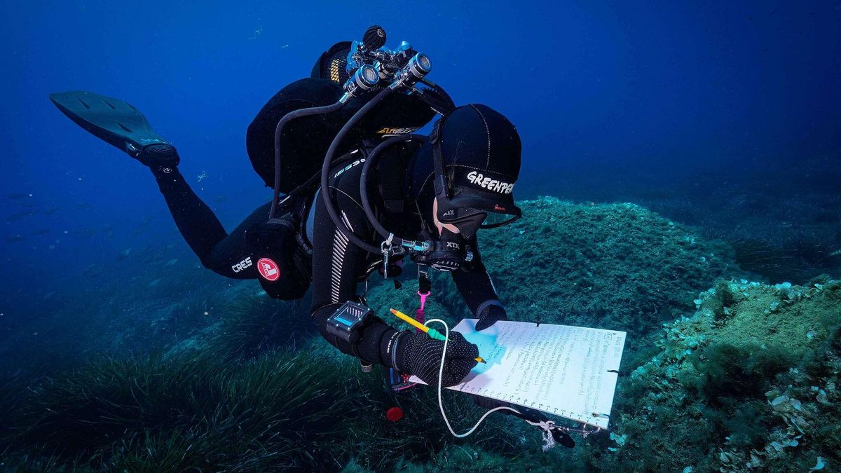El mar Mediterráneo también sufre olas de calor: las temperaturas aumentan hasta a 40 metros de profundidad