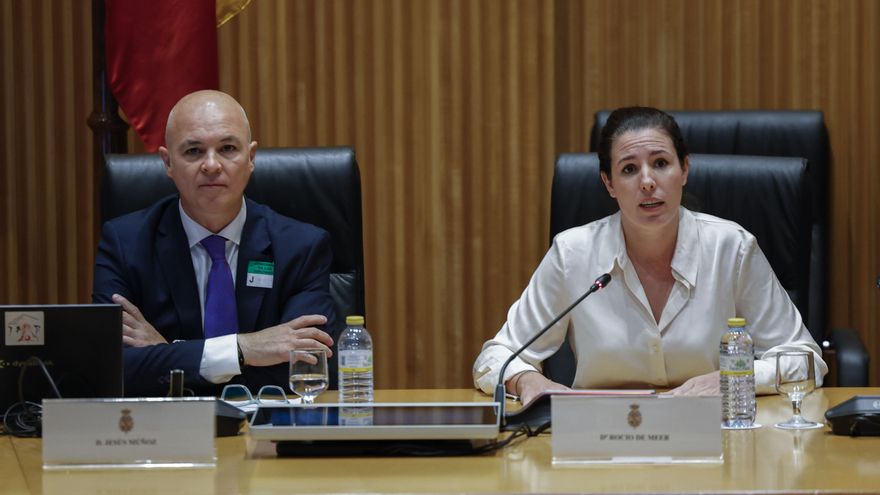 Vox se reafirma en negar la violencia machista en unas polémicas jornadas en el Congreso