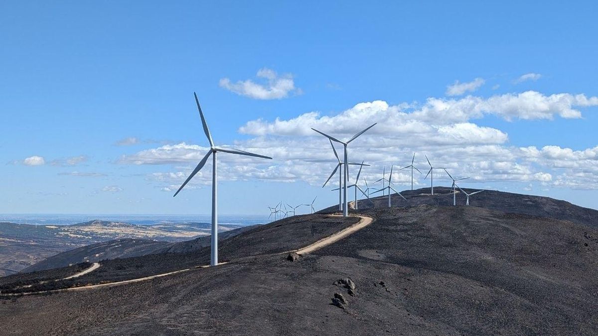 La Junta de Castilla y León rebaja el impuesto de impacto ambiental para “fomentar” la instalación de renovables