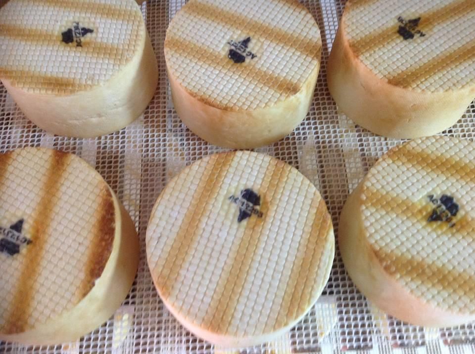 Quesos ahumados. Denominación de Origen Queso Palmero