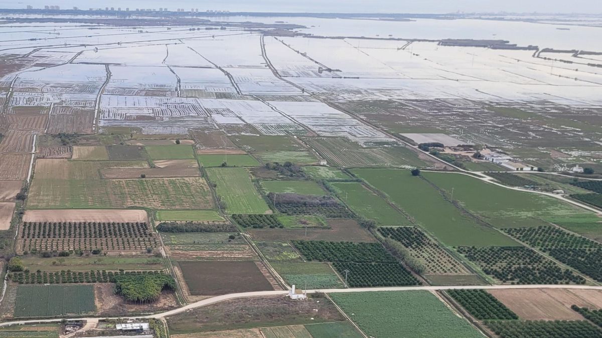 Las inundaciones de la dana dispararon la contaminación fecal en la Albufera, con efectos seis meses después