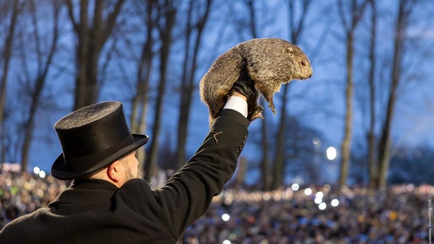 Día de la Marmota 2025: Por qué se celebra el 2 de febrero y cuál es su origen
