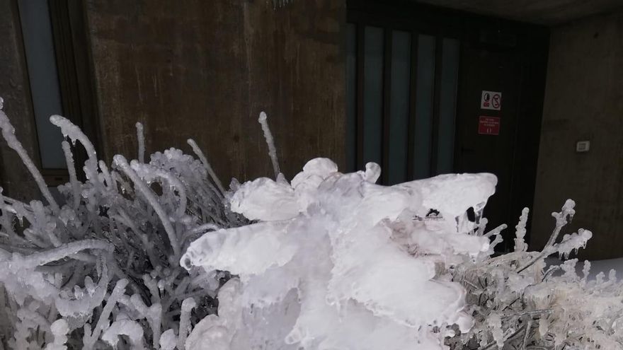 La ola de frío ha esculpido una estampa polar en las cumbres de La Palma (Foto: ANA BEA)