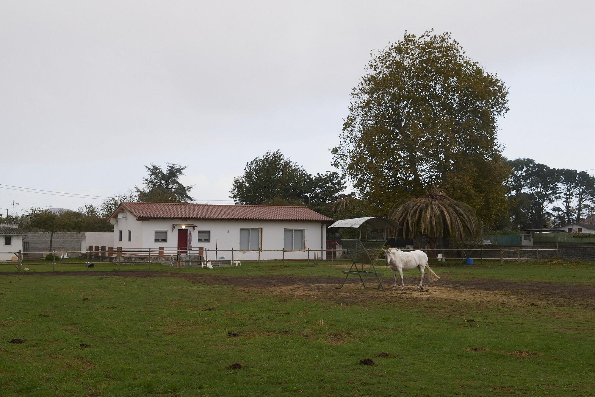 Los terrenos que pretenden urbanizarse incluyen pequeños negocios y explotaciones ganaderas.