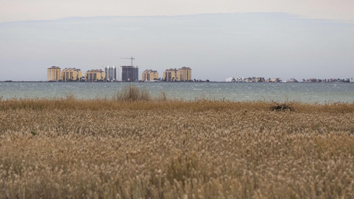 Vista del Mar Menor (Murcia). EFE/ Marcial Guillén