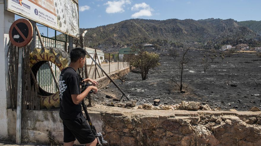 Matorral seco, viento y abandono en el incendio de Murcia: "Fue horrible ver cómo ardía la montaña"