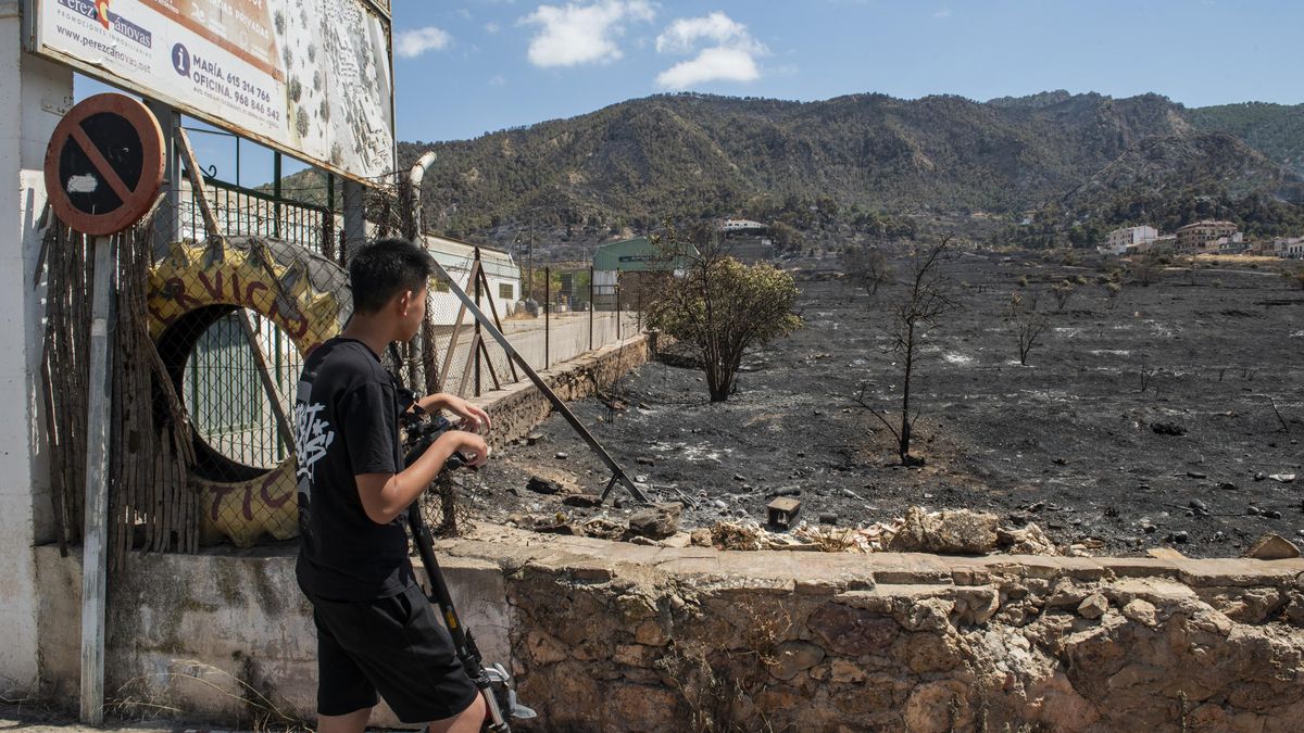 Matorral seco, viento y abandono en el incendio de Murcia: "Fue horrible ver cómo ardía la montaña"
