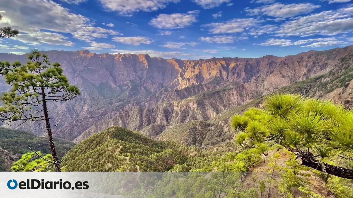 Nine La Palma Municipalities Receive Subsidies for Infrastructure Improvement and Area Revitalization Nine La Palma Municipalities Receive Subsidies for Infrastructure Improvement and Area Revitalization