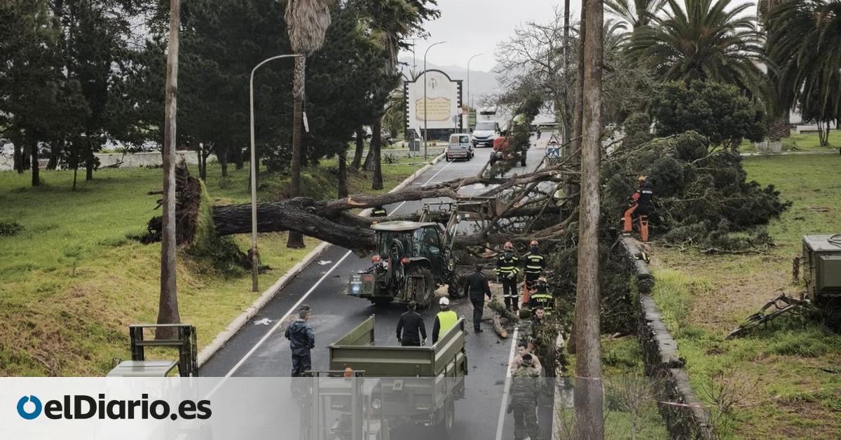 Una asociación militar pide a Defensa información sobre la seguridad en el acuartelamiento de Los Rodeos