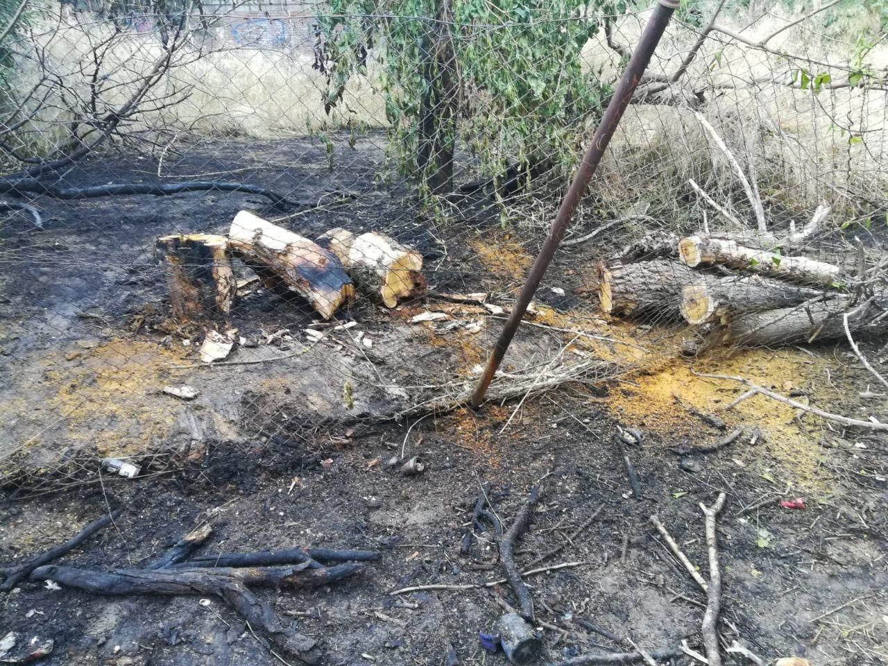 Parte de la parcela se quemó la mañana pasada