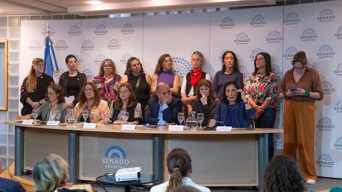 Denuncias falsas: abogadas y familiares advierten que el proyecto de Losada criminaliza a las mujeres que denuncian