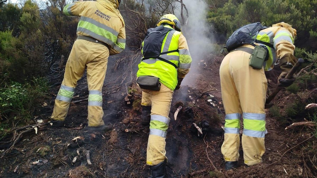 Un operativo de incendios forestales.
