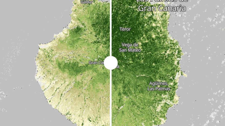 Gran Canaria se tiñe de verde con las últimas lluvias: el antes y después de la isla visto desde un satélite