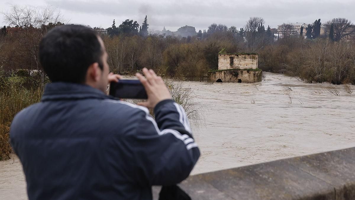 El río Guadalquivir ha superado el umbral naranja a su paso por Córdoba