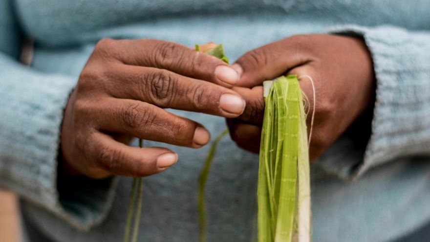 Las manos de mujeres que tejen el chaguar en El Impenetrable