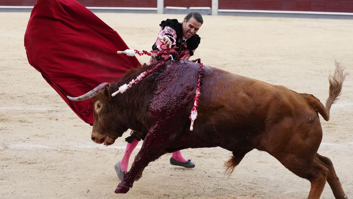 Las subvenciones de Ayuso convierten a Madrid en el refugio taurino de un espectáculo en decadencia