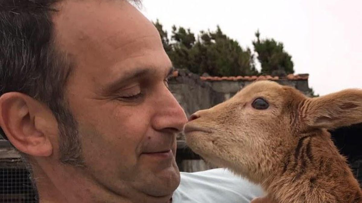 Carlos Manuel Rodríguez Hernández, 'Carlines' .