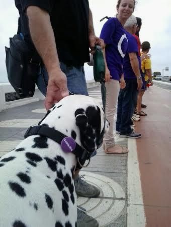 Cadena Humana de Las Palmas de Gran Canaria.