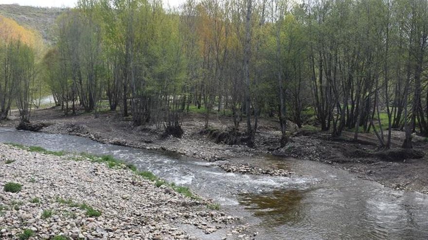 Río Torío.