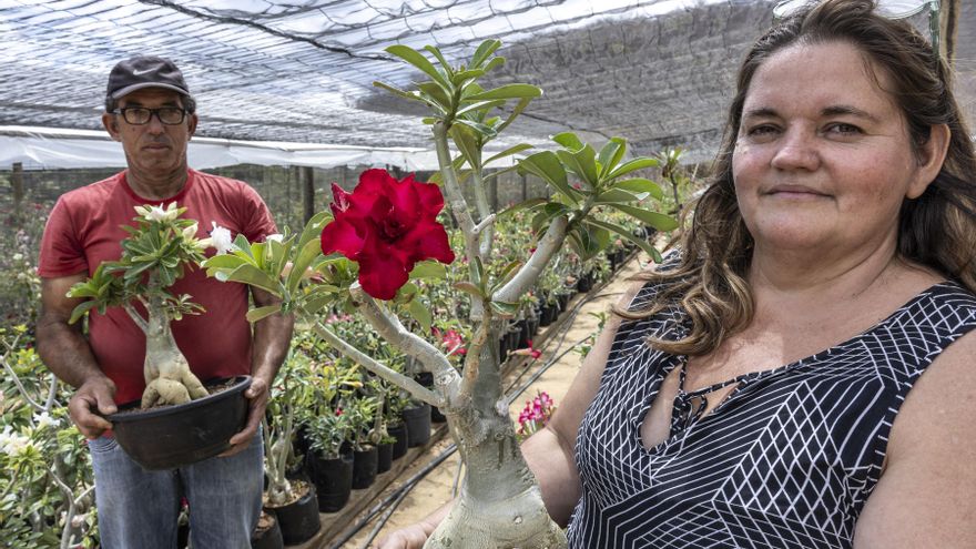 El litio, entre 'oro blanco' y veneno para una de las regiones más pobres de Brasil