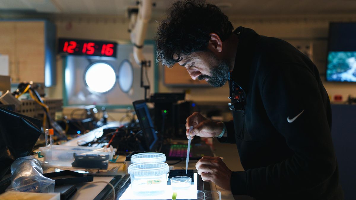 El Dr. Manu Prakash (Universidad de Stanford) trabajando en el Laboratorio Principal del buque de investigación R/V Falkor.
