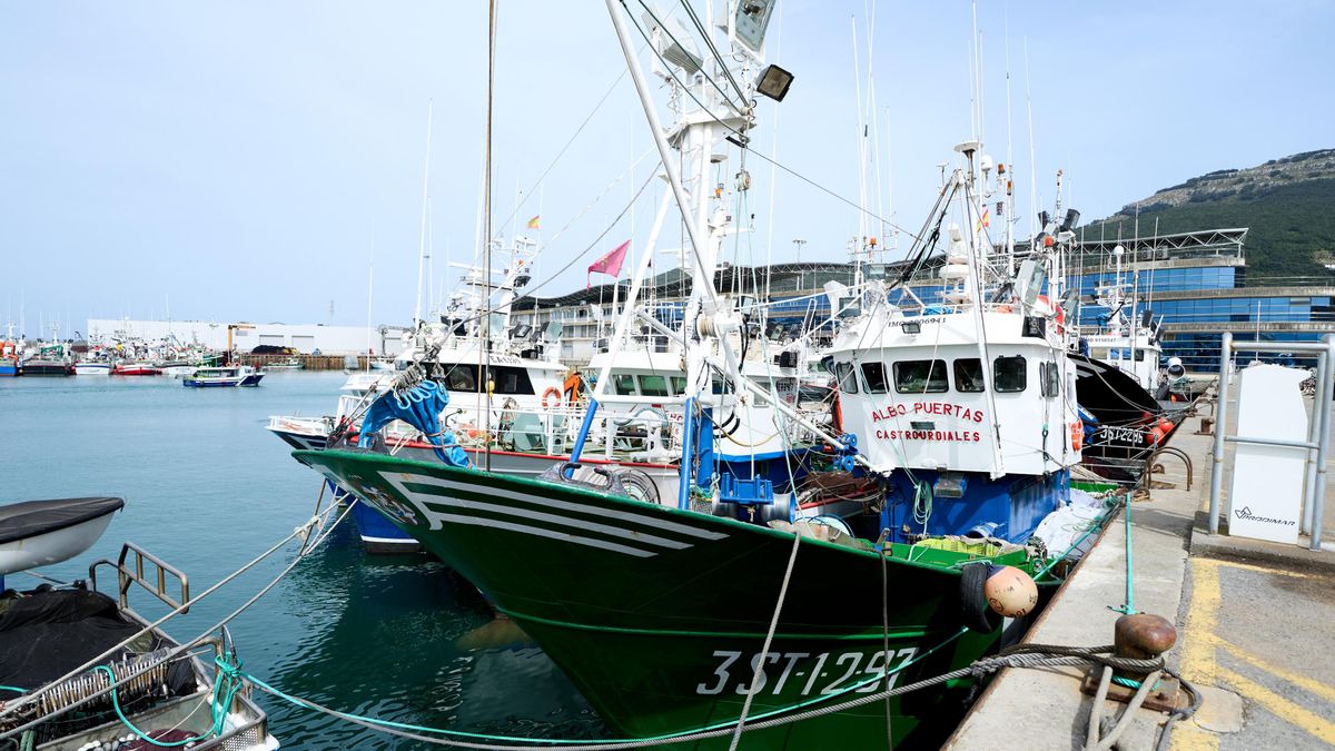 Los pescadores urgen "certezas" para la costera del verdel: "No sabemos ni cuánto podemos pescar"