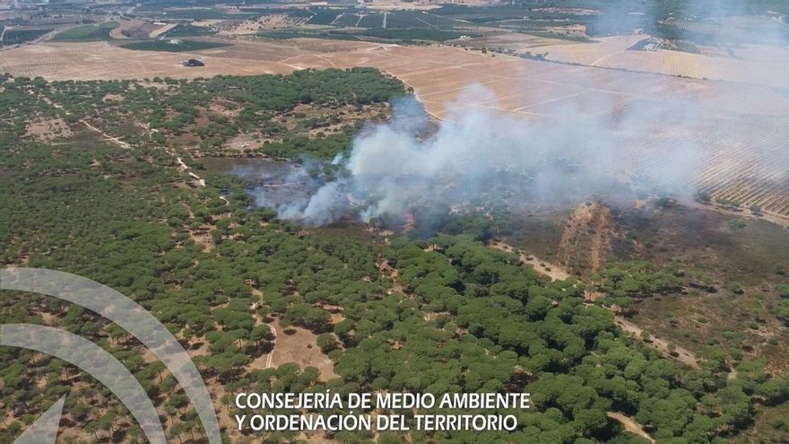 Andalucía registra 500 fuegos en terrenos forestales, con 1.527 hectáreas calcinadas