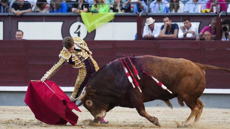 El Gobierno de Page mantiene su intención de crear un galardón "para mantener viva la llama del espíritu taurino"