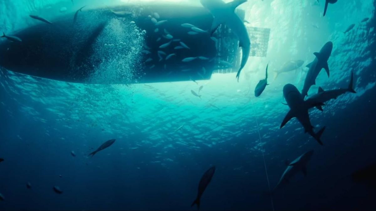 Fotograma de 'Dangerous Animals'