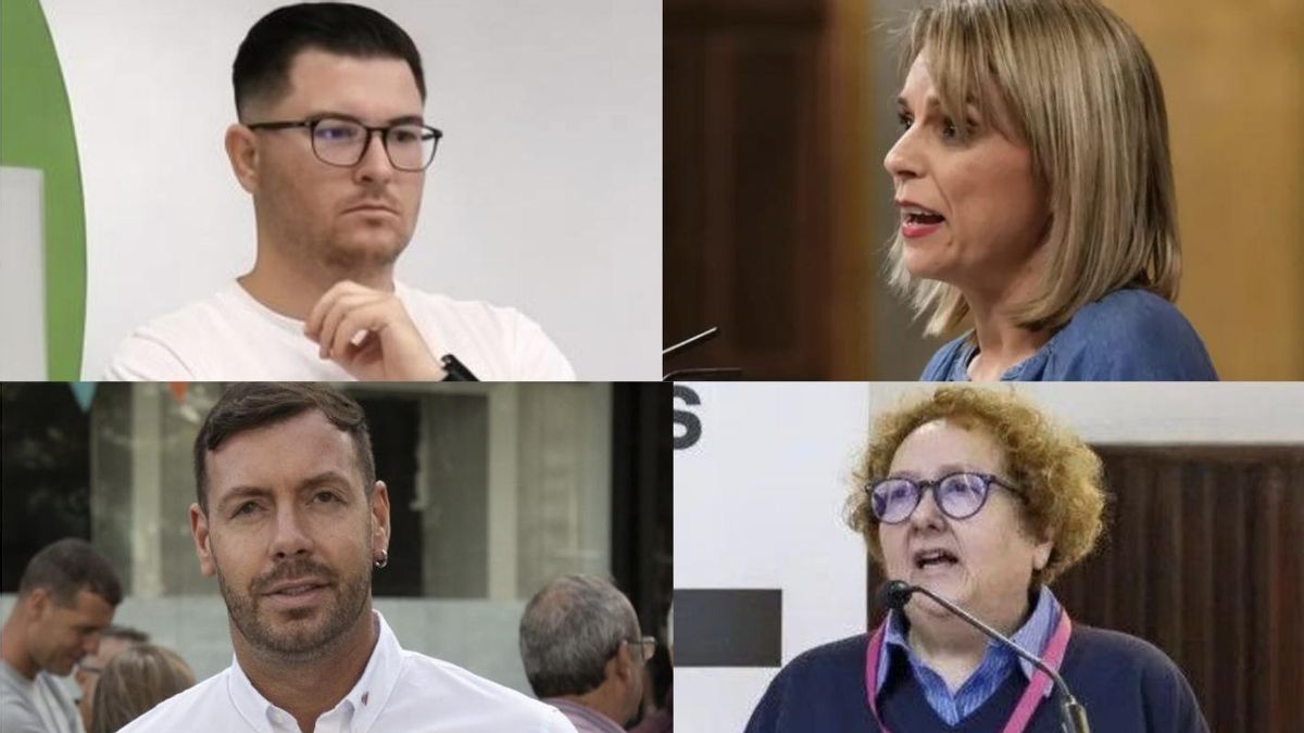 La confluencia canaria de izquierdas está avanzada para las elecciones generales: "Tendrá una marca específica"